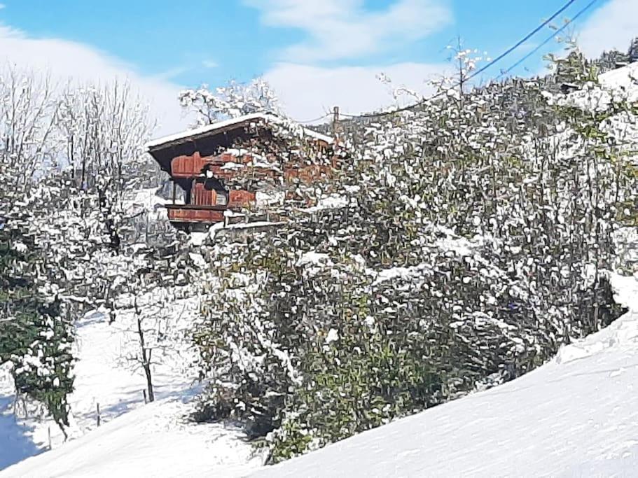 Mountain Chalet Mayrhofen Bagian luar foto